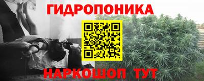 спайс Коммунар