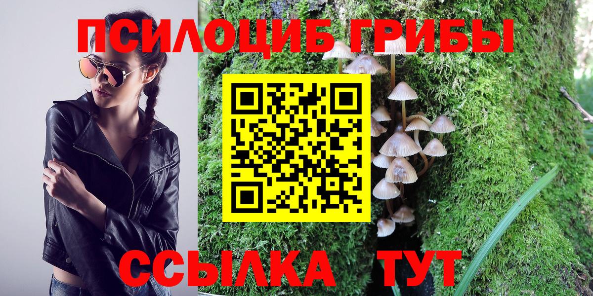 Тихвин  Галлюциногенные грибы мухоморы  Вход с VPN 