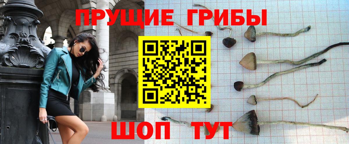 Гашиш  ГАШ  Cocaine  Тихвин  Амфетамин кристаллы  МЕТАМФЕТАМИН  Вход с VPN  Меф кристаллы 
