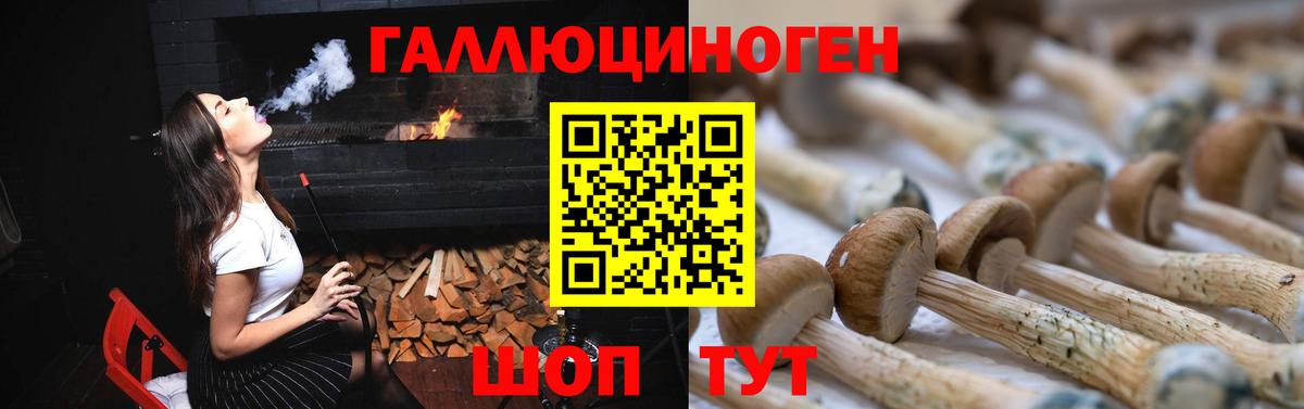Галлюциногенные грибы Magic Shrooms Тихвин